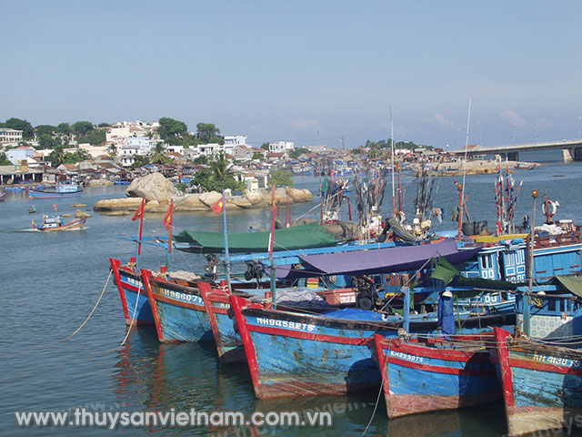 Nhiều àu cá của tỉnh Khánh Hòa khai thác hiệu quả Ảnh: Nguyễn Khải